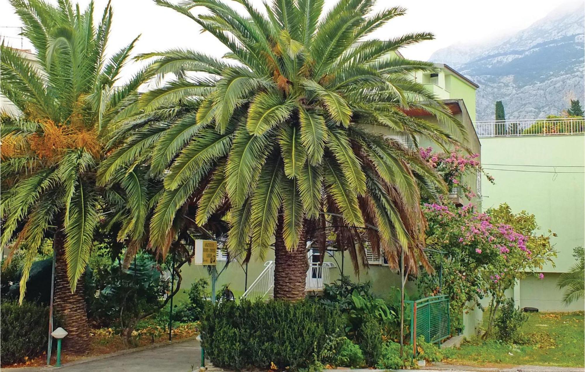 Lovely Apartment In Makarska With Wifi Esterno foto